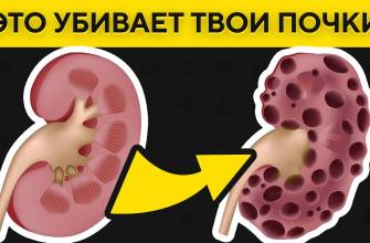 Продукты, вредные для почек человека - список